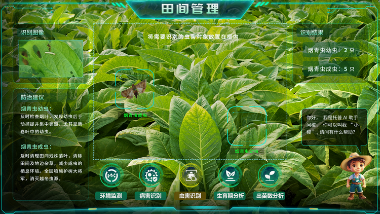 1768268111163734.png 烟草虫害识别.png