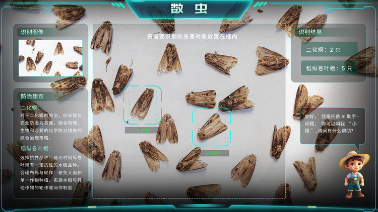 1768268178913171.png 数虫.png