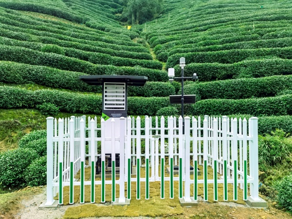 西湖茶园气象监测(1)_副本.jpg
