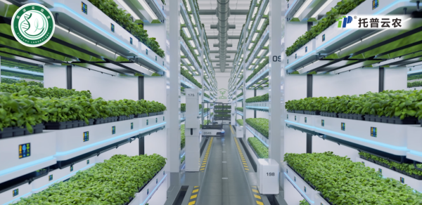 1769157303937422.png 图三_副本.png