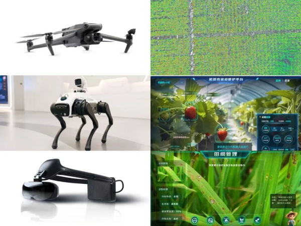 1770079260727776.bmp 6.bmp