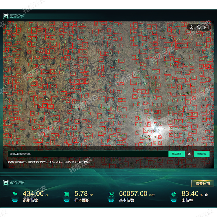 1770699873330426.png 1.png