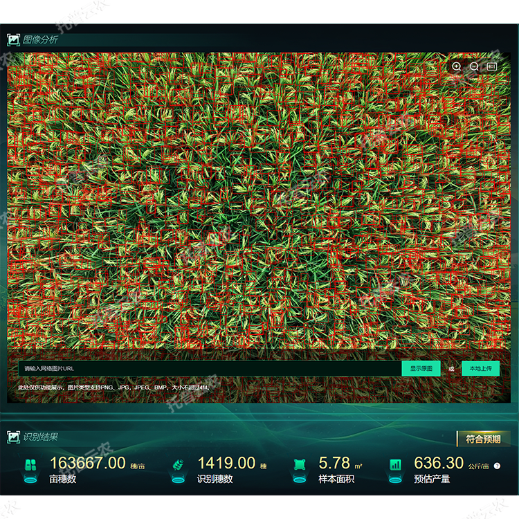 1770699888582844.png 2.png