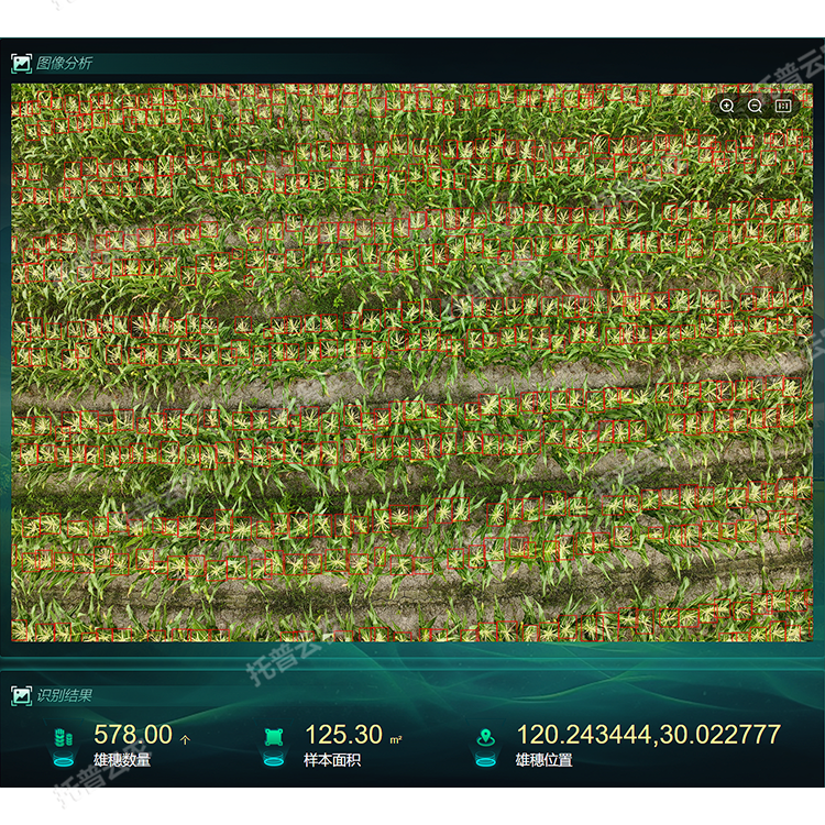 1770704762597242.png 2.png