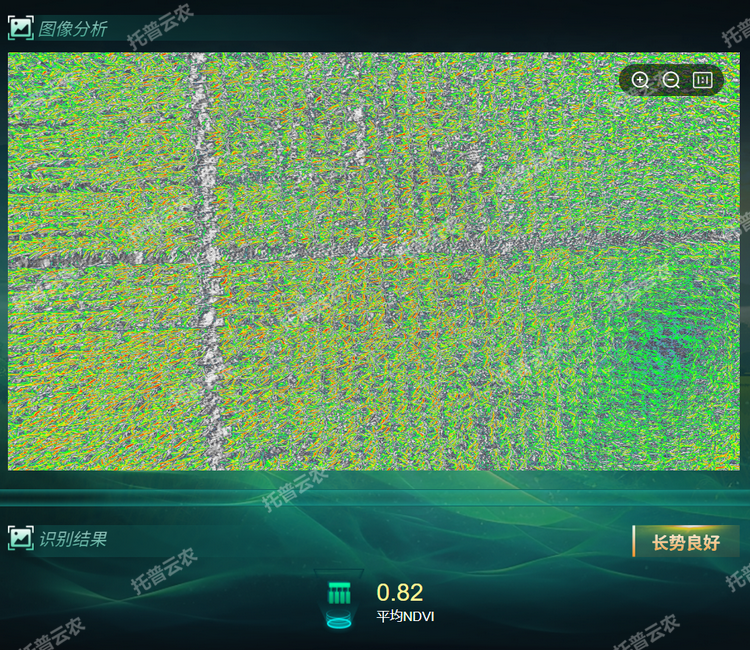 长势分析.png