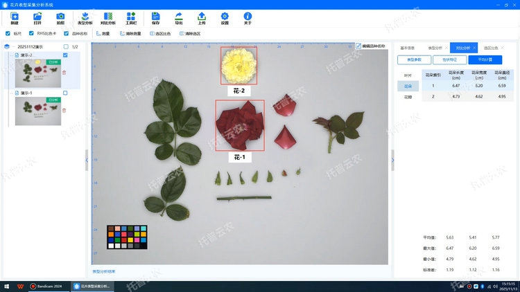 1770709578155848.jpg 花.jpg