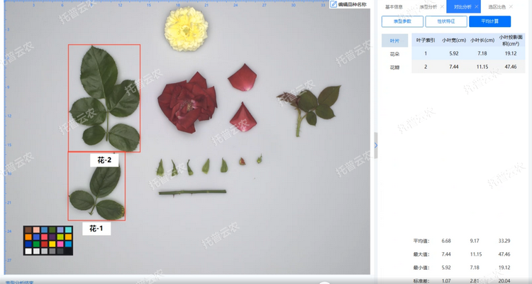 1770709640240377.png 叶.png