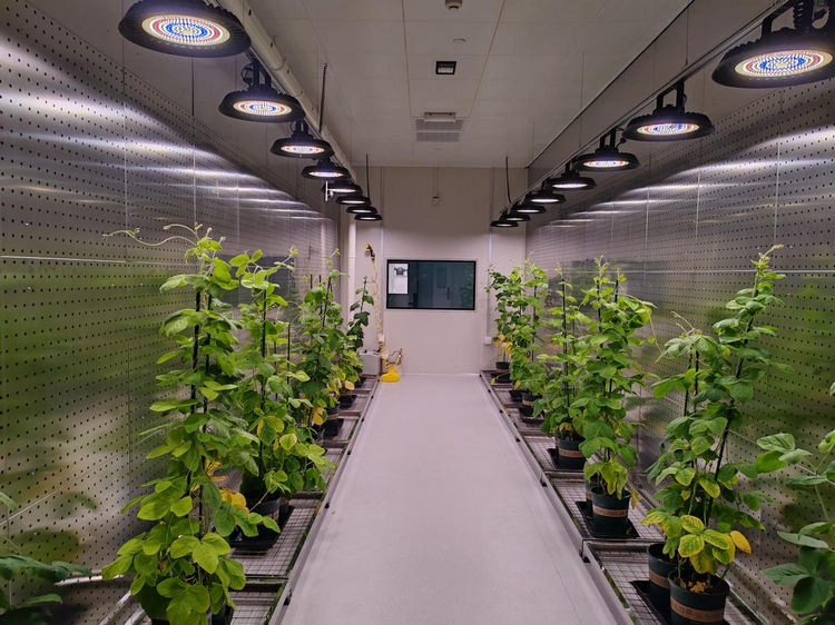 1773990115865200.png 4-1.png